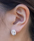 【6個セット】アソートポイントピアス